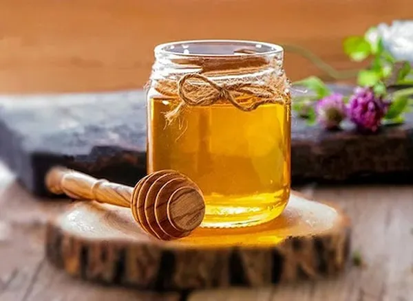 خرید و قیمت جدیدترین انواع عسل شفاء
