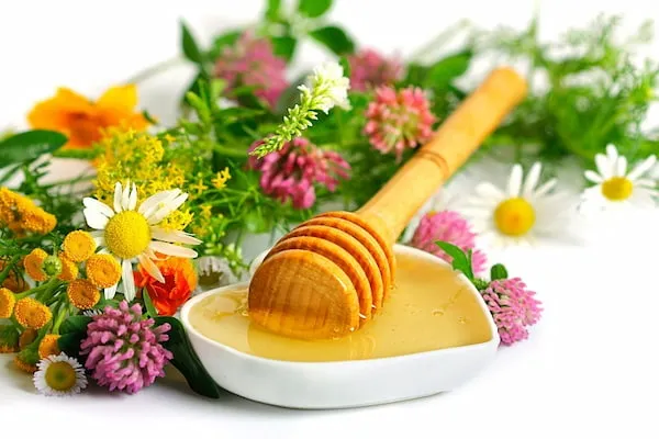 راهنمای خرید عسل قوطی خوانسار + قیمت عالی