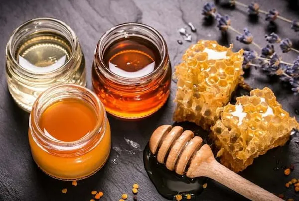 خرید انواع عسل موشکی با بهترین قیمت