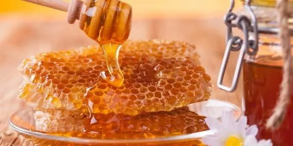 قیمت و خرید عسل کوهستان حاج ابراهیم + فروش ارزان