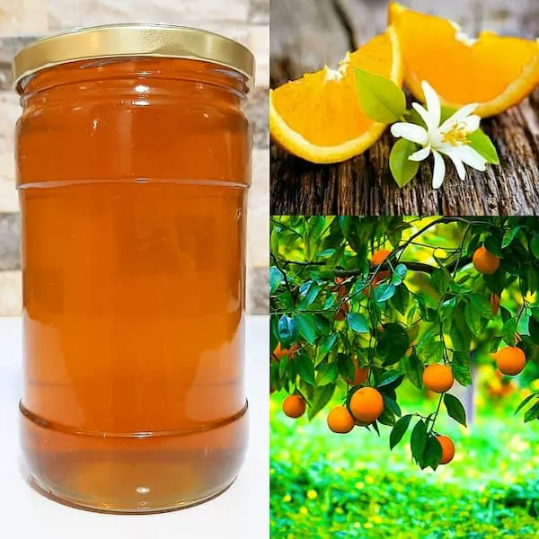 عسل شکوفه پرتقال حاج ابراهیم + خرید