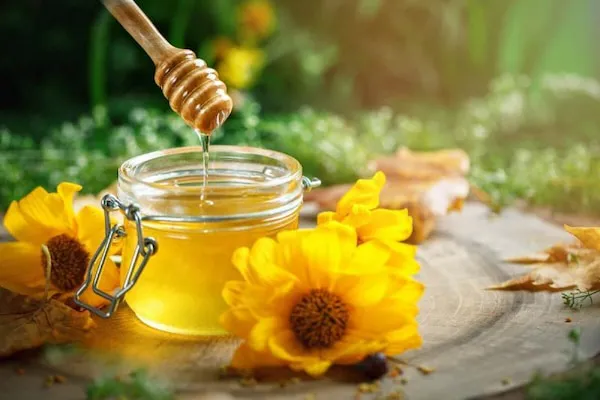 راهنمای خرید عسل قوطی خوانسار + قیمت عالی