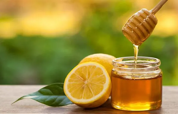 خرید و قیمت بهترین انواع عسل موسوی