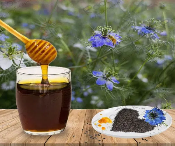 عسل و سیاه دانه حاج ابراهیم | قیمت مناسب خرید عالی