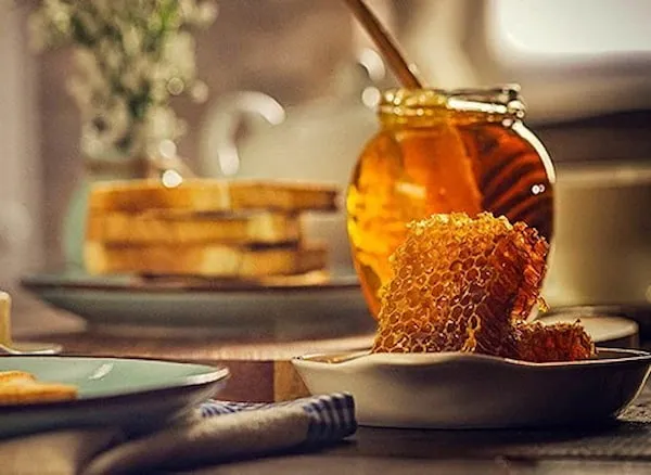 معرفی عسل قوطی تبریز + بهترین قیمت خرید