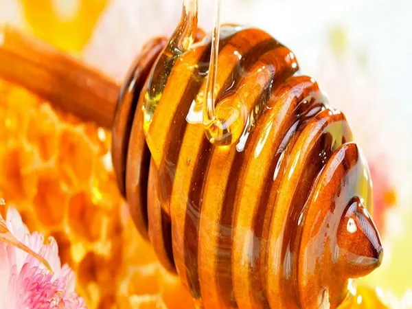 قیمت خرید عسل زعفرانی + مزایا و معایب