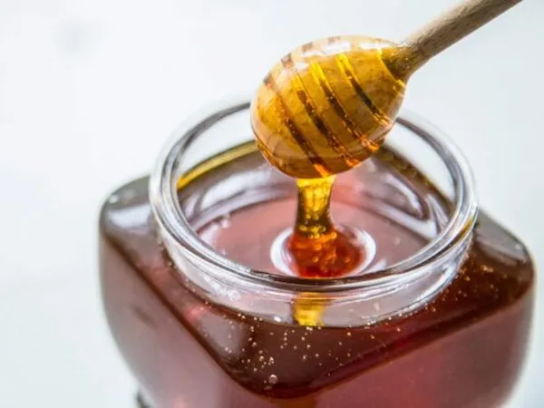 راهنمای خرید عسل قوطی خوانسار + قیمت عالی